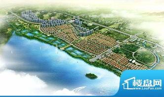 荆门碧桂园爆料事件视频,揭露惊人内幕